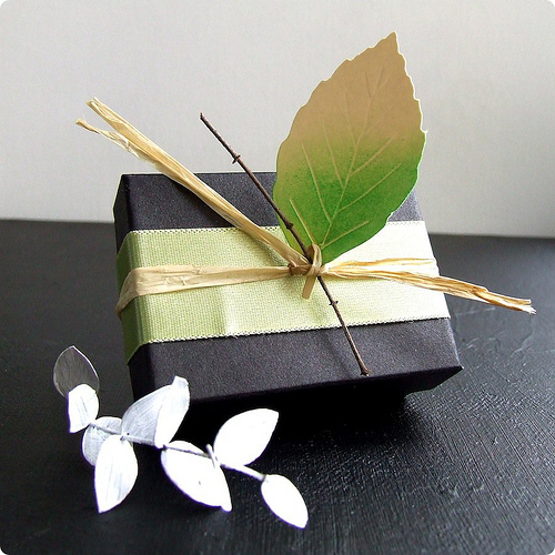 packaging photo