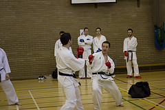 internal fight photo