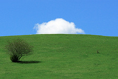 no hill photo